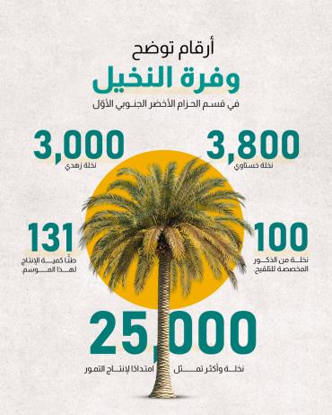 أرقام توضح وفرة النخيل في قسم الحزام الأخضر الجنوبي الأوّل