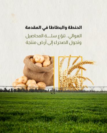 العوالي.. تنوّع سلة المحاصيل وتحول الصحراء إلى أرض منتجة