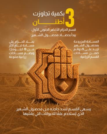 قسم الحزام الأخضر الجنوبي الأول يبدأ بحصاد محصول الشعير 
