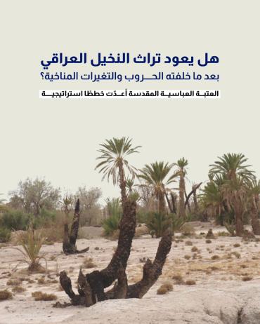 هل يعود تراث النخيل العراقي بعد ما خلفته الحروب والتغيرات المناخية؟ 