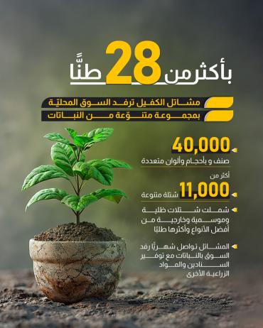 مشاتل الكفيل ترفد السوق المحليّة بمجموعة متنوّعة من النباتات