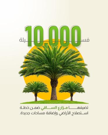 10,000 فسيلة، تضيفها مزارع الساقي ضمن خطة استصلاح الأراضي وإضافة مساحات جديدة