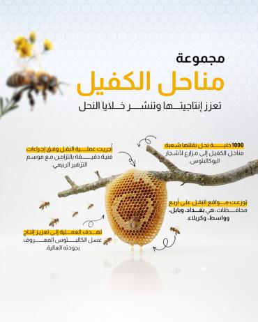 مجموعة مناحل الكفيل تعزز إنتاجيتها وتنشر خلايا النحل