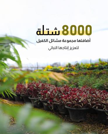 8000 شتلة أضافتها مجموعة مشاتل الكفيل لتعزيز إنتاجها النباتي 