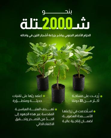 الحزام الأخضر الجنوبي يباشر بزراعة أشجار التين في واحاته