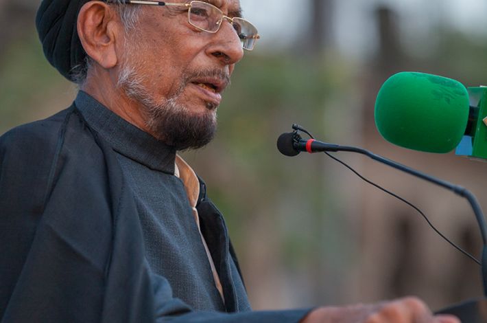 السيد حميد الحسن