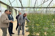 إدارة العتبة العباسية المقدسة تطلع على التجارب الزراعية لشركة خير الجود