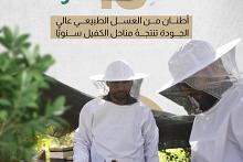 نحو 10 أطنان من العسل الطبيعي عالي الجودة تنتجهُ مناحل الكفيل سنويًّا