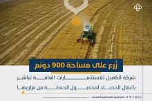 شركة الكفيل للاستثمـارات العامة تباشر بأعمال الحصاد لمحصول الحنطة من مزارعها