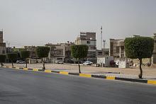 قسم الشؤون الخدمية: تشجير مداخل كربلاء يُجرى من قبل فرقٍ مختصّة