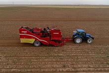 مزرعةُ الفردوس تُساهم في سدّ حاجة السوق المحلّية