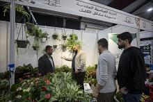 مجموعة مشاتل الكفيل تعرض تشكيلة متكاملة من النباتات الظلية والموسمية في مهرجان عين الحياة الرابع