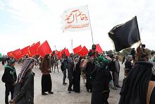 قسم الشعائر: 700 موكب يشارك بخدمة زائري الإمام الكاظم (عليه السلام) في واسط