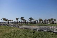 على مساحة 63 دونما.. العتبة العباسية تواصل تنفيذ مشروع استراحة الواحة على طريق (النجف – كربلاء)