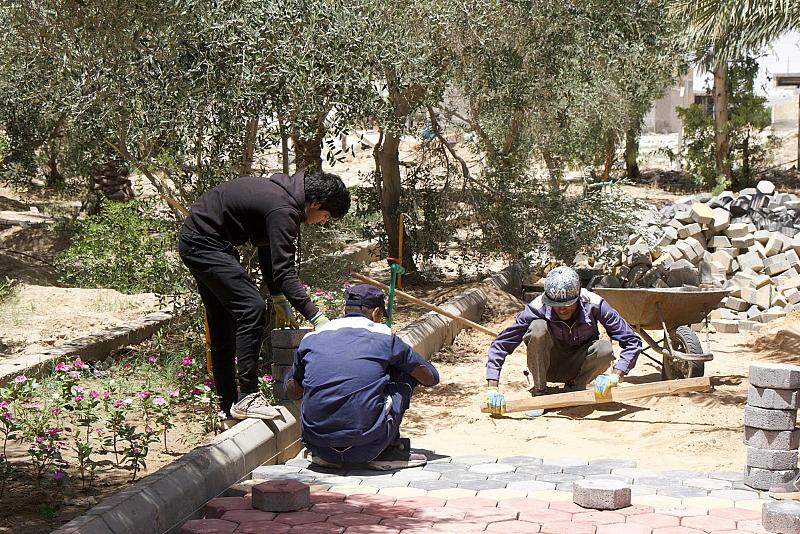  الحزام الأخضر ينفذ المرحلة الثالثة للأعمال التطويرية في واحة أمير المؤمنين (عليه السلام)