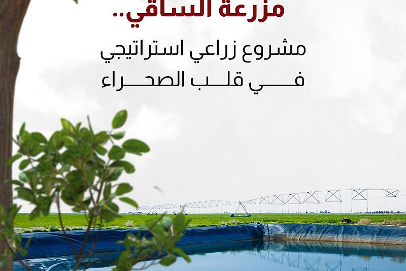 مزرعة الساقي.. مشروع زراعي استراتيجي في قلب الصحراء 