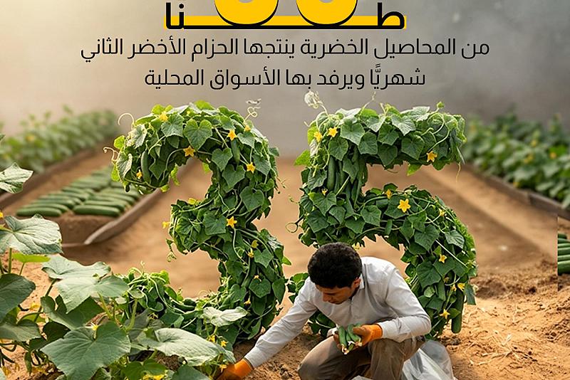 35 طنًّا من المحاصيل الخضرية ينتجها الحزام الأخضر الثاني شهريًّا ويرفد بها الأسواق المحلية.