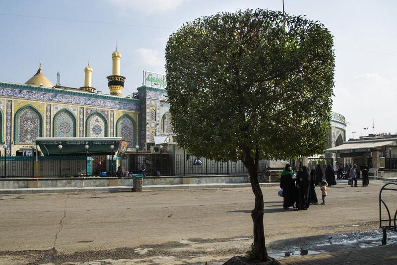 مجموعةُ مشاتل الكفيل تشرعُ بحملةٍ لتأهيل وتقليم وتشكيل أشجار شوارع مدينة كربلاء المقدّسة