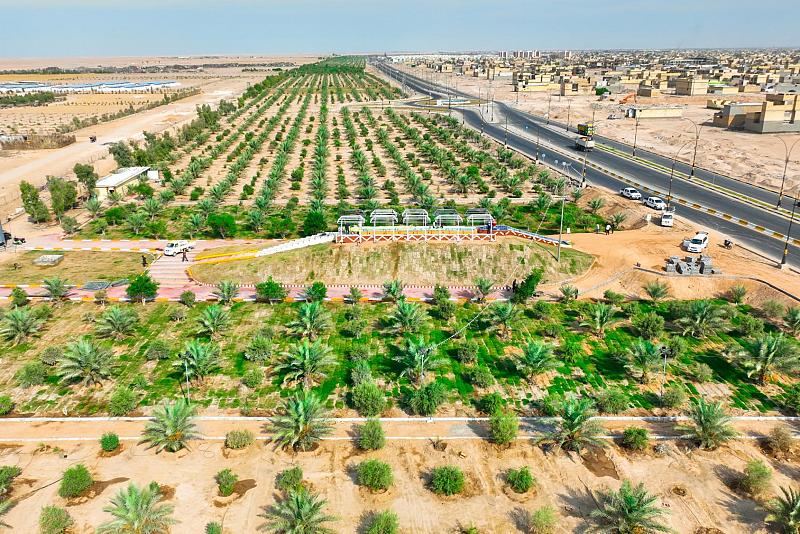 الصحراء الخضراء: كيف يحوّل الحزام الجنوبي الصحراء إلى بيئة للترفيه والإنتاج؟