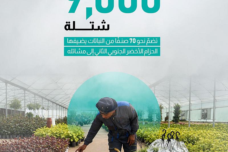 أكثر من 9000 شتلة تضمّ نحو 70 صنفًا من النباتات يضيفها الحزام الأخضر الجنوبي الثاني إلى مشاتله