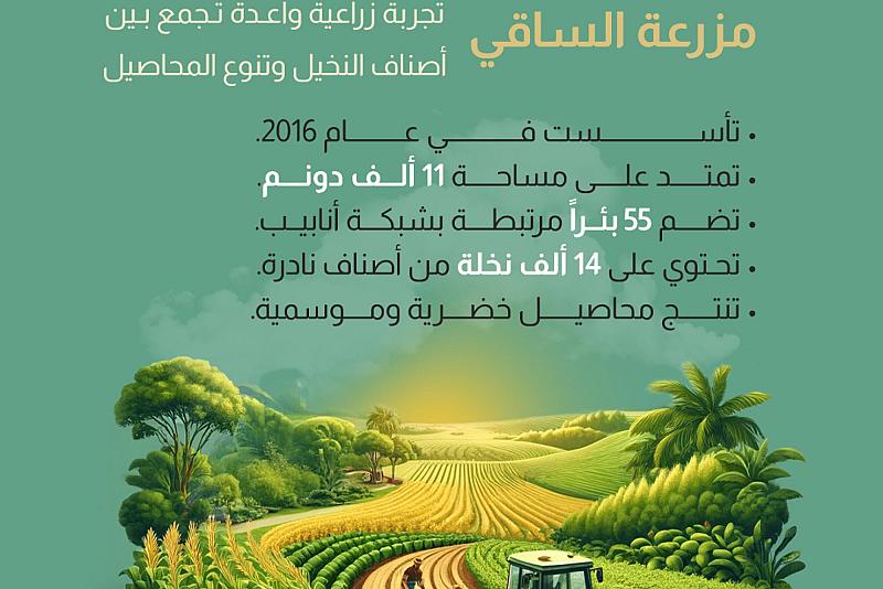  مزرعة الساقي تجربة زراعية واعدة تجمع بين أصناف النخيل وتنوع المحاصيل