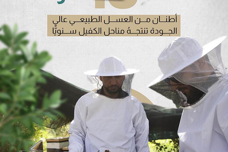نحو 10 أطنان من العسل الطبيعي عالي الجودة تنتجهُ مناحل الكفيل سنويًّا