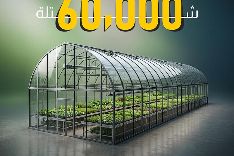 مشروع البيوت البلاستيكية في الحزام الأخضر الجنوبي ينجح بزراعة أكثر من 60 ألف شتلة