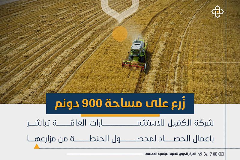 شركة الكفيل للاستثمـارات العامة تباشر بأعمال الحصاد لمحصول الحنطة من مزارعها