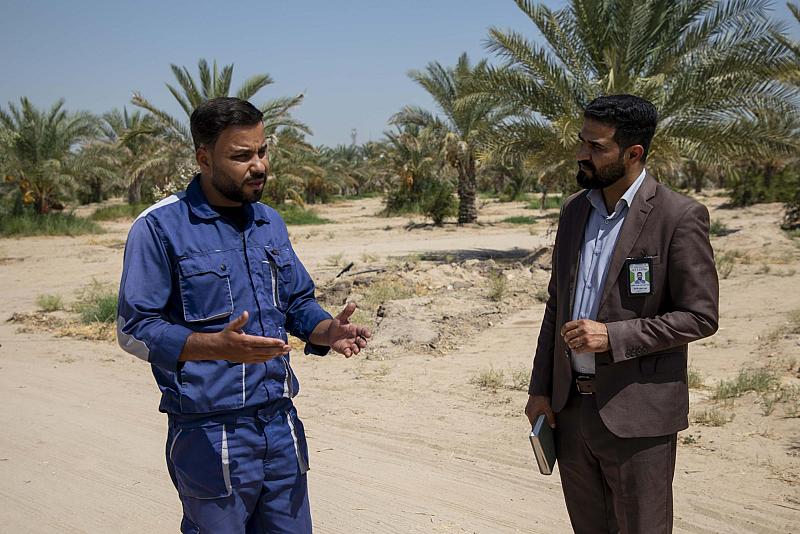  قسم شؤون المواقع الخارجية يطلع على احتياجات مزارع السدر النموذجية