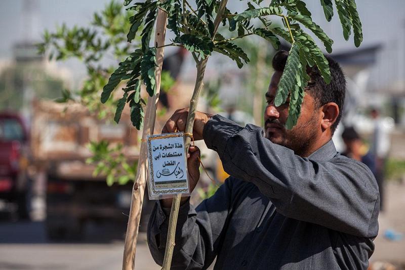 مجموعة مشاتل الكفيل تتواصل بتشجير شوارع وأزقّة محافظة كربلاء المقدّسة..