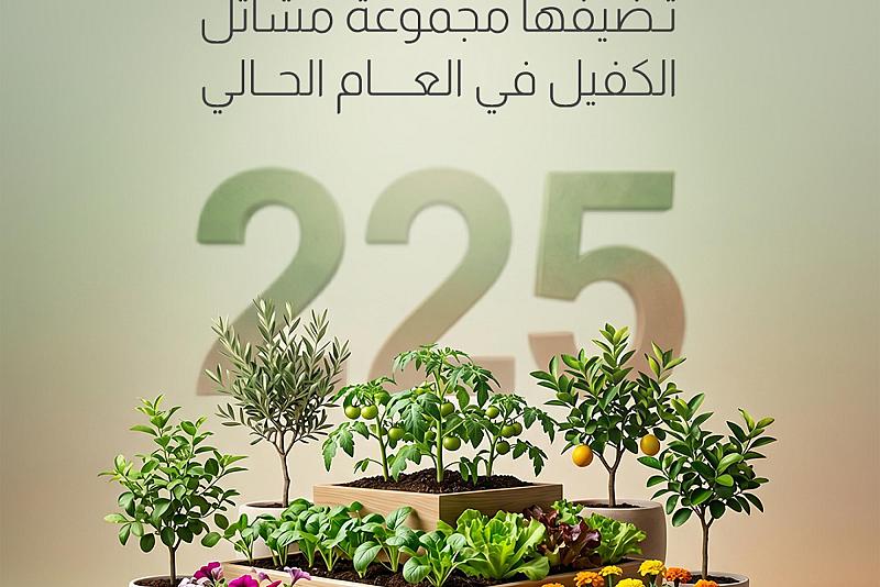 225 ألف شتلة وأكثر تضيفها مجموعة مشاتل الكفيل في العام الحالي