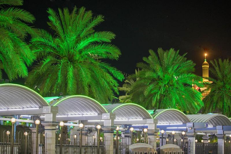 تفاصيل ودلالات النخيل المزروع بين مرقدَيْ الإمام الحسين وأخيه أبي الفضل العبّاس (عليهما السلام) 