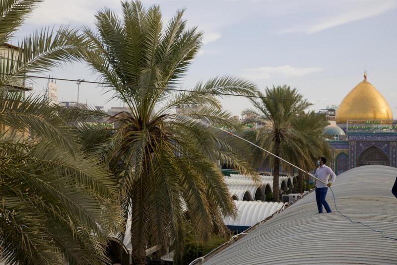 تنظيمُ حملةٍ لمكافحة أمراض نخيل ساحة ما بين الحرمين الشريفين