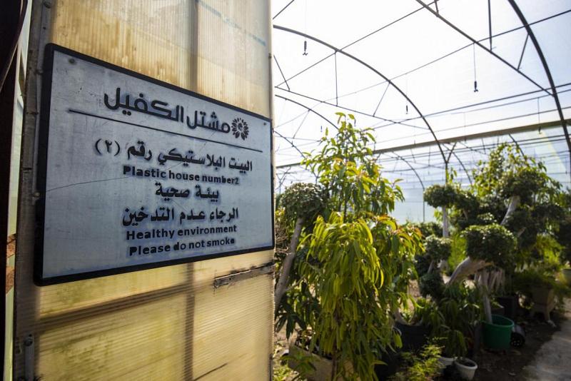 مجموعةُ مشاتل الكفيل توفّر مجموعةً من المزروعات الصيفيّة