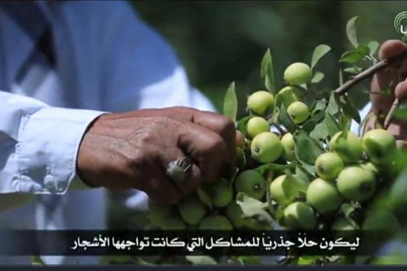 خدمةً للمزارع العراقيّ وتحسيناً لإنتاجه: منتجاتُ شركة الجود تُعيد الحياة لمزرعة تفّاحٍ لم تنتج منذُ خمس سنين
