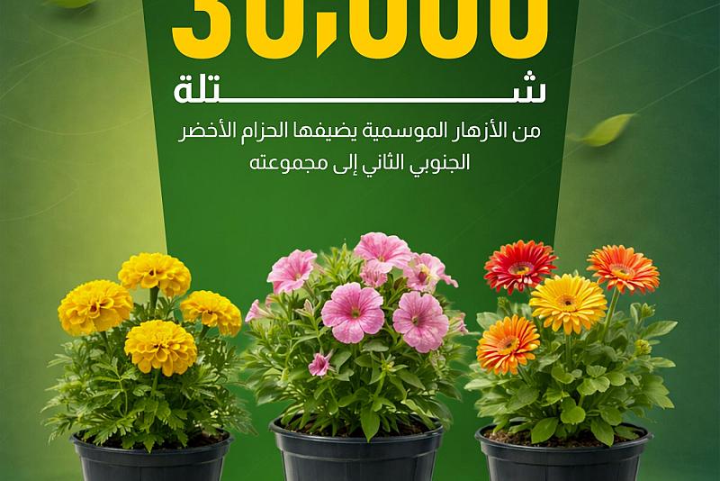 30 ألف شتلة من الأزهار الموسمية يضيفها الحزام الأخضر الجنوبي الثاني إلى مجموعته