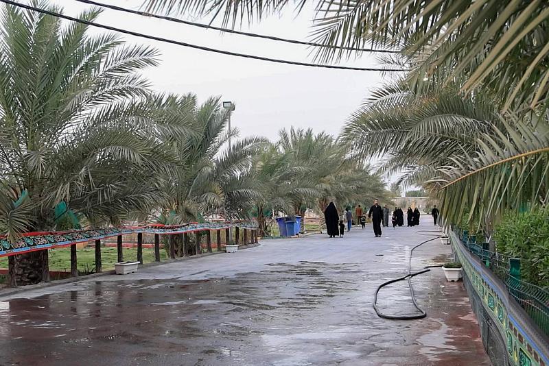 قسم الحزام الأخضر الجنوبي يبين طرائق العناية بأشجار النخيل واستدامتها