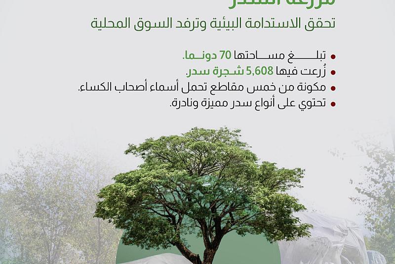  مزرعة السدر تحقق الاستدامة البيئية وترفد السوق المحلية
