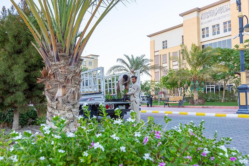 جامعة الكفيل تباشر بتأهيل المساحات الخضراء استعدادًا للعام الدراسي الجديد