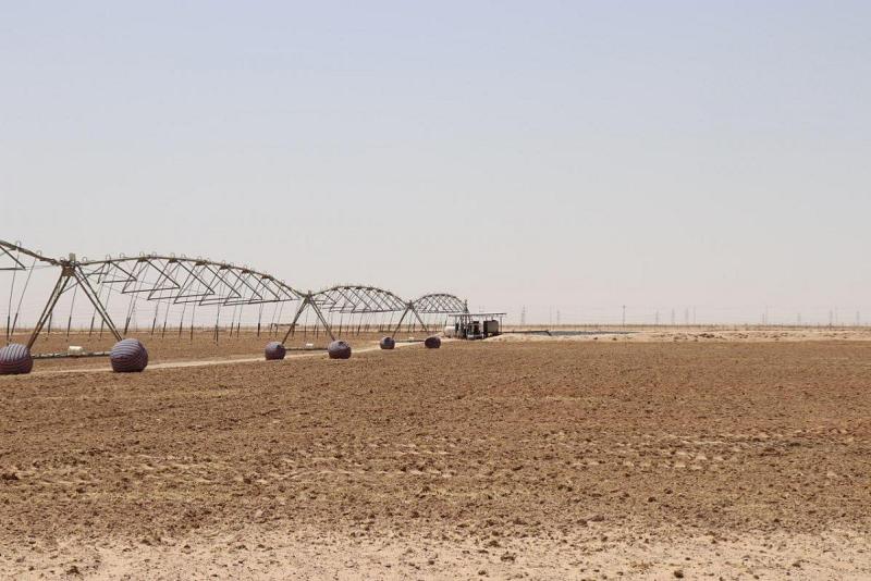 العتبة العباسية المقدسة تُهيّئُ مليوناً وخمسةَ مائةِ الفِ متر مربع لزراعتِها في الموسم الشتوي القادم