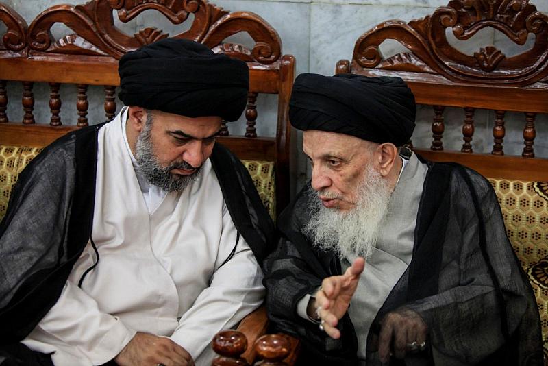 السيد الصافي يستعرض دور المرجع الراحل السيد محمد سعيد الحكيم (قدّس سرّه) في نشر فكر مدرسة أهل البيت (عليهم السلام)