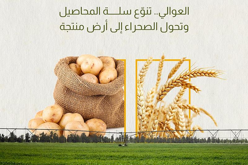 العوالي.. تنوّع سلة المحاصيل وتحول الصحراء إلى أرض منتجة
