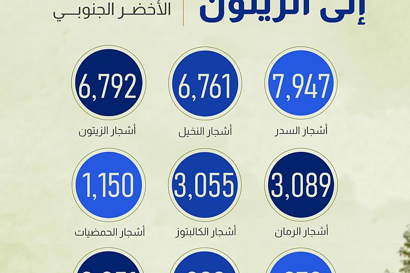 إحصائية بعدد الأشجار في الحزام الأخضر الجنوبي 