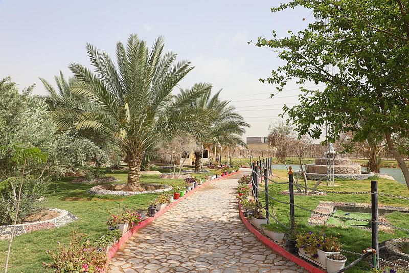 منظمة الارتقاء بالبيئة العراقية: مشروع الحزام الأخضر نقلة نوعية لبيئة كربلاء