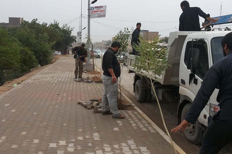 مجموعةُ مشاتل الكفيل تُباشر بتشجير الشارع الرئيسيّ لمنطقة حيّ النصر كمرحلةٍ أولى..