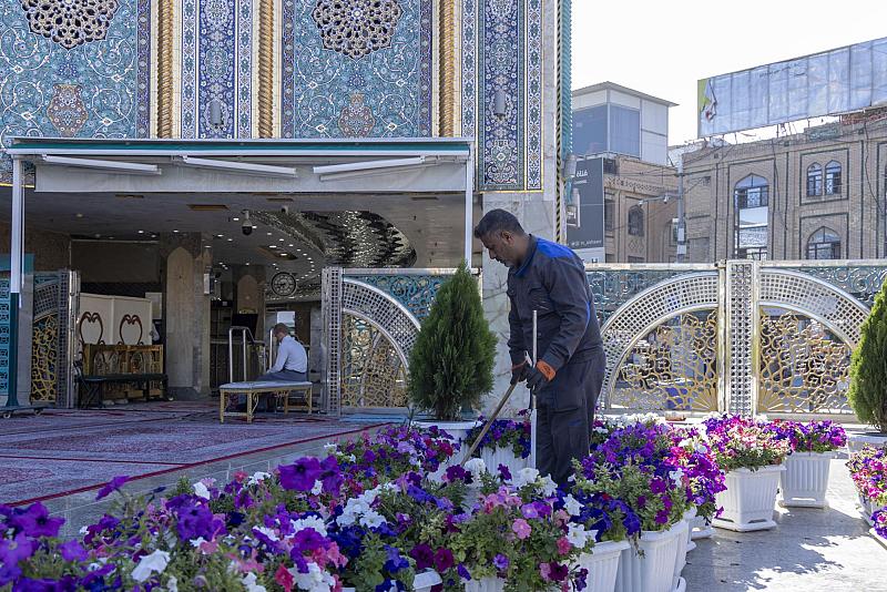 مشاتل الكفيل تخصص أكثر من 2600 شتلة لتزيين مداخل العتبة العباسية المقدسة ومحيطها