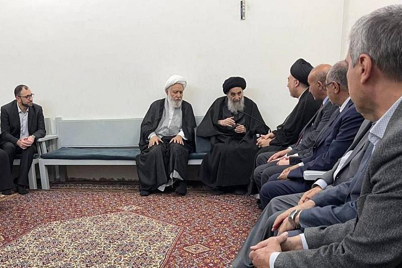 المرجع الأعلى السيد علي السيستاني يستقبل مجموعة من أطباء النجف