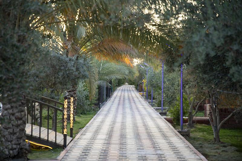  الحزام الأخضر يستعد لافتتاح إحدى واحاته الجديدة مجانًا للعوائل العراقية