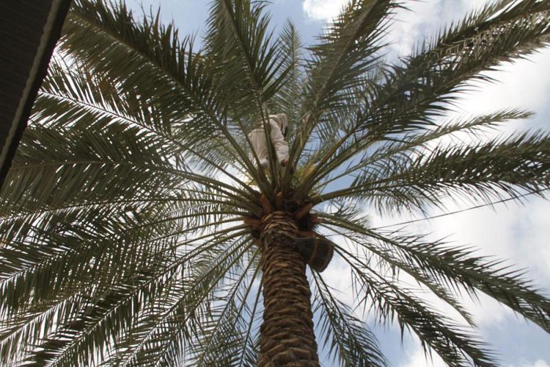 قسم ما بين الحرمين الشريفين: أعمالٌ متواصلة لخدمة زائري الإمام الحسين وأخيه أبي الفضل العباس(عليهما السلام)..