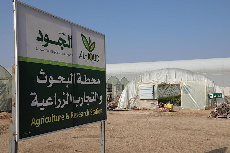الزراعة المائيّة.. قصّة نجاح جديدة في شركة خير الجود